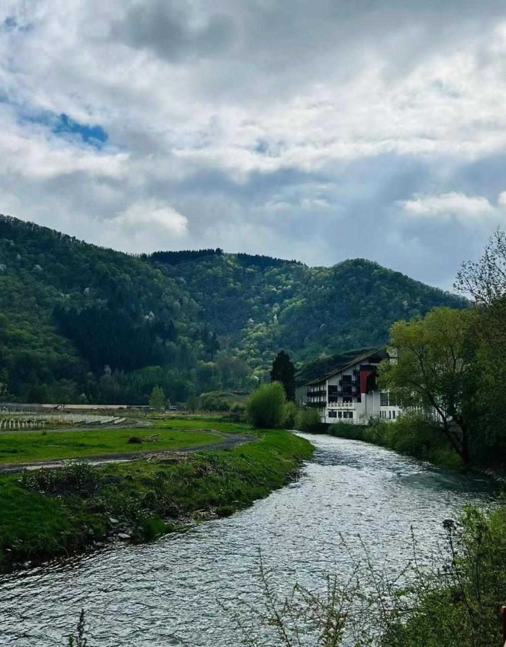 May Hotel Mayschoß Екстериор снимка